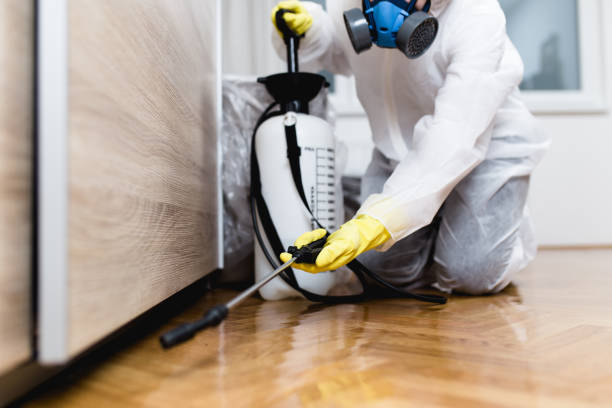 Best Mosquito Control Services  in Brookland, AR