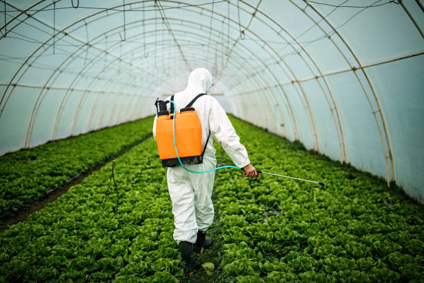 Best Local Pest Control Services  in Brookland, AR