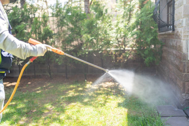 Insect Control in Brookland, AR