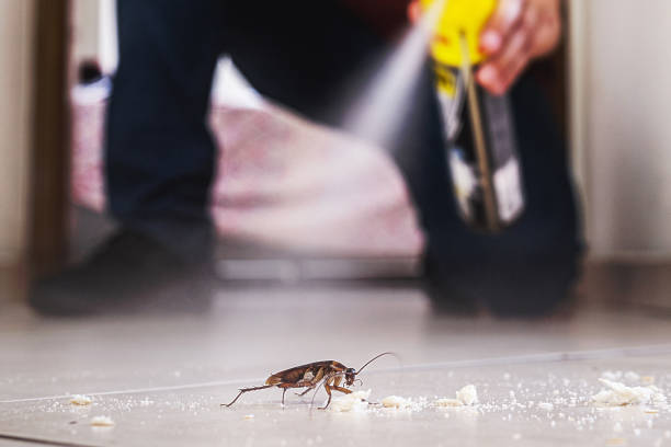 Best Emergency Pest Control  in Brookland, AR