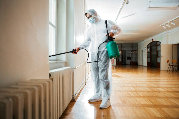 Best Flea Control Services  in Brookland, AR