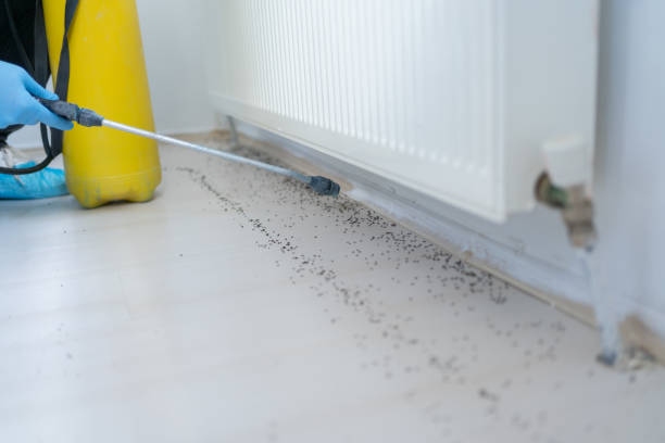 Best Pest Inspection Near Me  in Brookland, AR